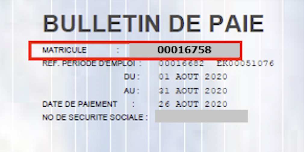 Exemple matricule