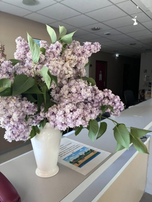 Un bouquet de fleurs fraîches à l’accueil de notre EHPAD : une petite attention qui change tout. Chez Coallia (Et à La Maison du Telhuet), chaque détail compte pour créer un lieu chaleureux et accueillant.