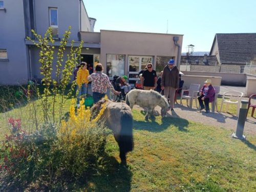 Journée Intergénérationnelle à l’Ehpad Lacordaire ! Oeufs de Pâques à la mairie de Recey sur Ource avec l’ école élémentaire suivi d’une après midi animation Poneys à l Ehpad avec la crêche du village ainsi qu’un goûter partagé !