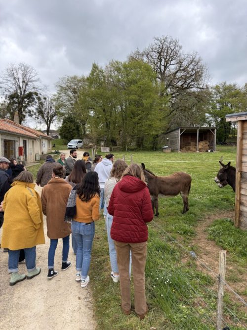 Organisation de la deuxième journée réseau inter-PF de la vienne – sur le thème des préjugés sur le public accueillie au sein de nos dispositifs. Cette journée à Jazzeneuil au sein d’une résidence accueil a permis aux professionnels d’échanger sur leurs pratiques et leurs visions !