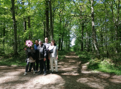 Promenade en forêt pour les résidents de la Pension de famille de Sens. Cadeau de la Nature, entre vols de papillons et chants d’oiseaux : un chevreuil a croisé notre chemin ! Fabuleux !