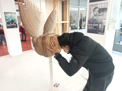 Les jeunes du SAMNA ont participé aux Safra’Numériques, festival incontournable des arts numériques au Safran. Ils ont pu découvrir des installations immersives et interactives pour réfléchir sur notre rapport aux nouvelles technologies. Ludique, instructif et poétique !